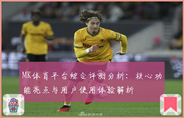 MK体育平台综合评测分析：核心功能亮点与用户使用体验解析