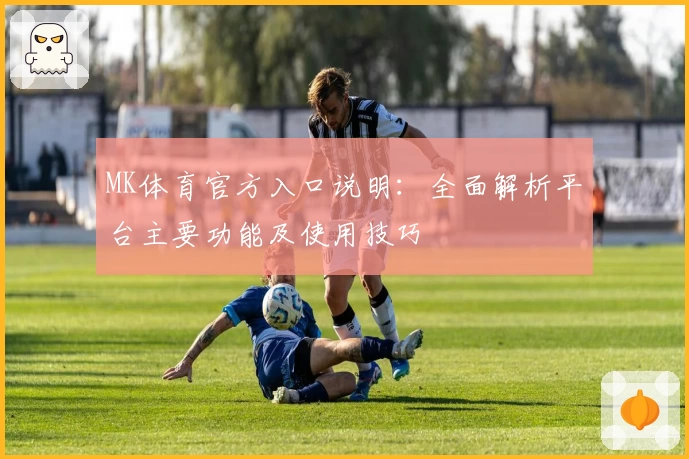 MK体育官方入口说明：全面解析平台主要功能及使用技巧